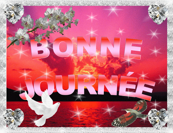 BONNE JOURNEE