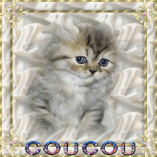 COUCOU